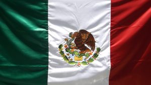 whatsapp image 2025 10 20 at 4.33.07 pm